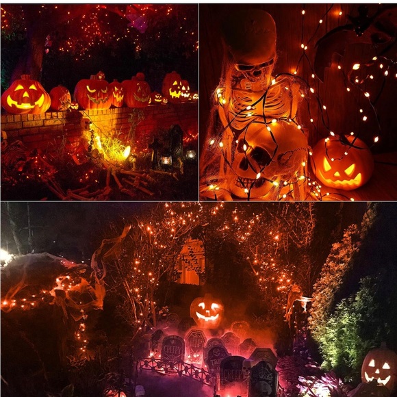 Brizled Orange Halloween LED Lights - Picture 5 of 8